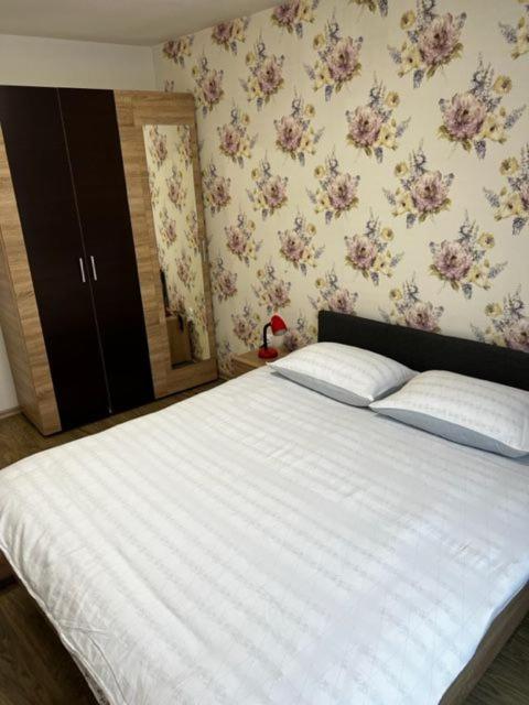 Apartament 9 Central Târgu-Mureş Εξωτερικό φωτογραφία